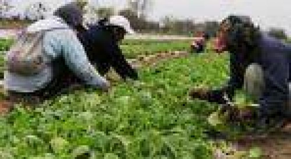 Fortalecen la tarea de la formaci�n t�cnica agropecuaria