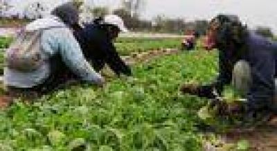 Fortalecen la tarea de la formaci�n t�cnica agropecuaria