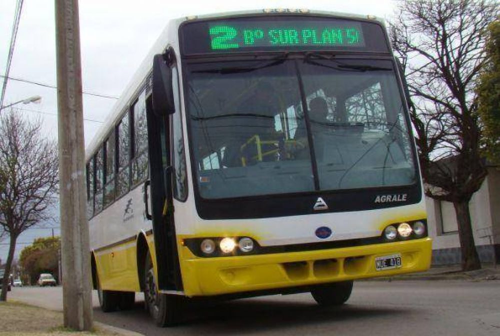 ONG's preparan amparo contra la municipalidad y Autobuses