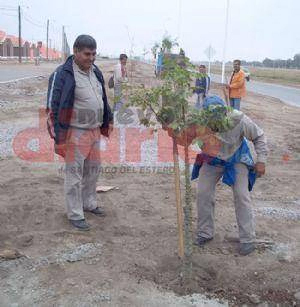 Invitan a la comunidad a plantar �rboles en la ciudad