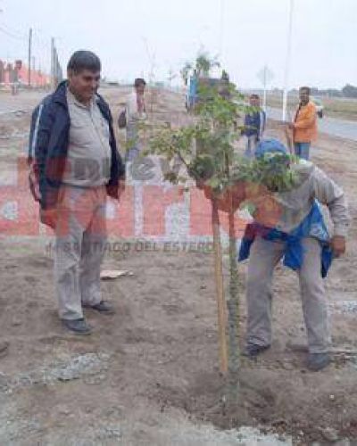 Invitan a la comunidad a plantar �rboles en la ciudad