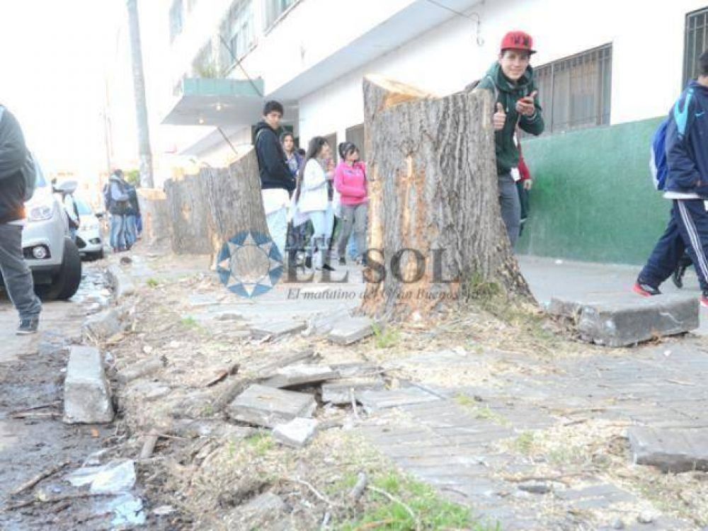 Pol�mica poda en ex Comercial