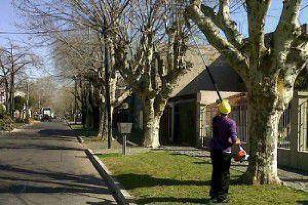 Realizaron un operativo de poda y embellecimiento en Lomas Oeste
