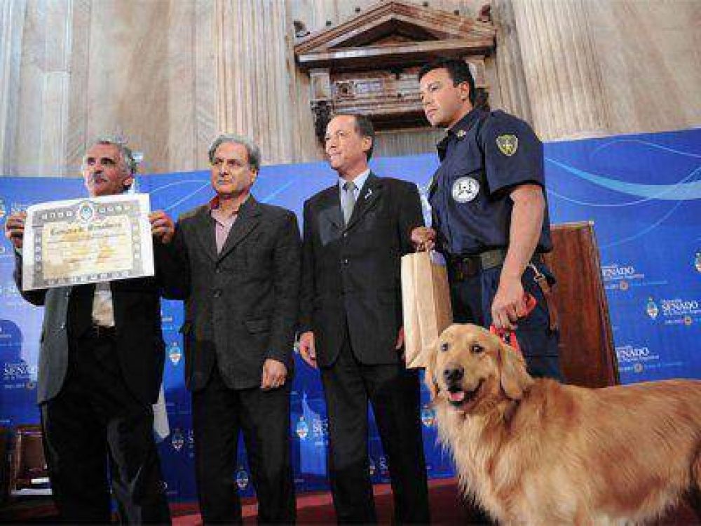 Homenajearon a bomberos de Paran� en el Senado de la Naci�n 