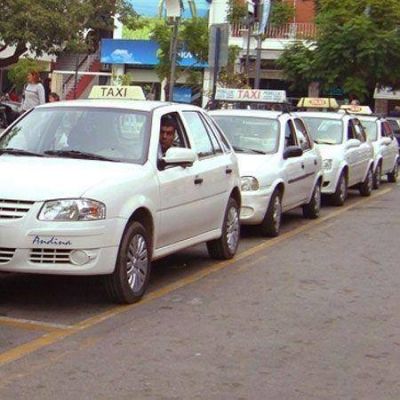 Taxistas pegar�n el identikit en los veh�culos