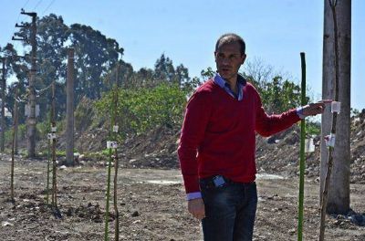 San Fernando: Trabajos de forestaci�n, limpieza y embellecimiento sobre la Ruta 202