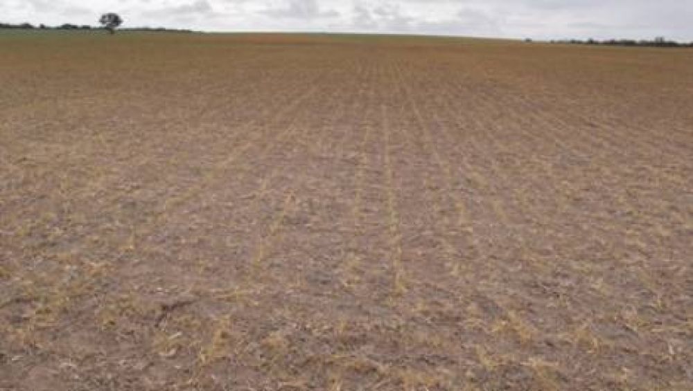 Los diques del Este no tienen agua y se agudiza la sequ�a