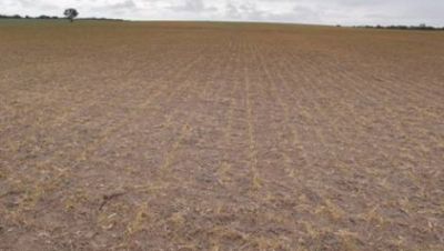 Los diques del Este no tienen agua y se agudiza la sequ�a