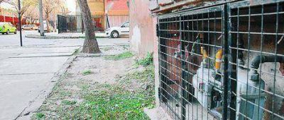 Efecto Rosario: 5 monoblocks de Las Flores II est�n sin gas