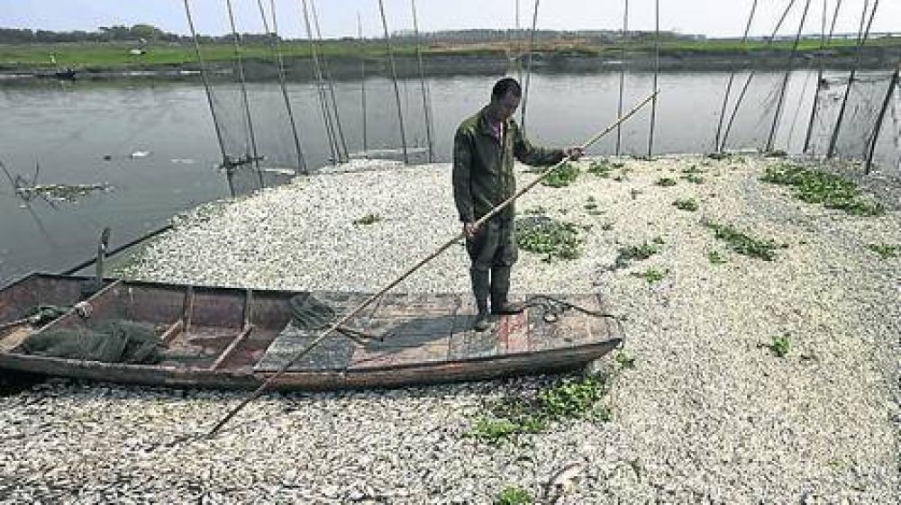 Un derrame qu�mico mat� a cientos de miles de peces