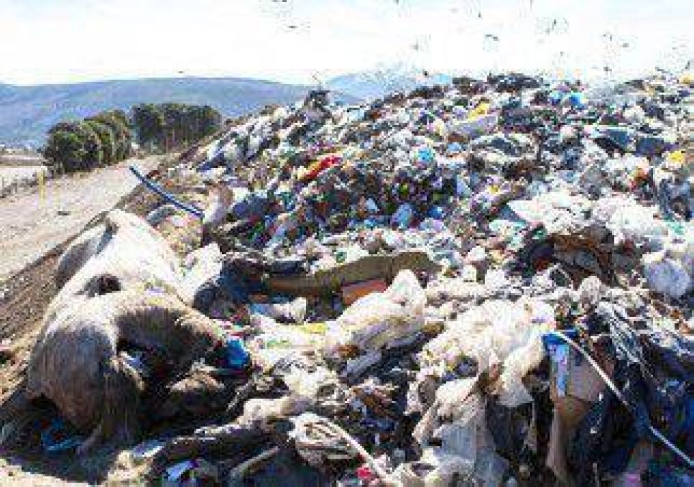 Nuevas alternativas para la basura en San Mart�n 
