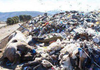Nuevas alternativas para la basura en San Mart�n 