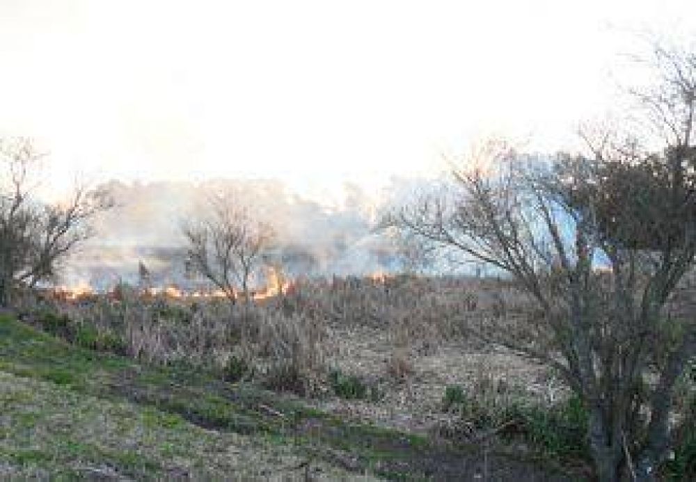 Denuncian que sigue la quema intencional de basura en el humedal