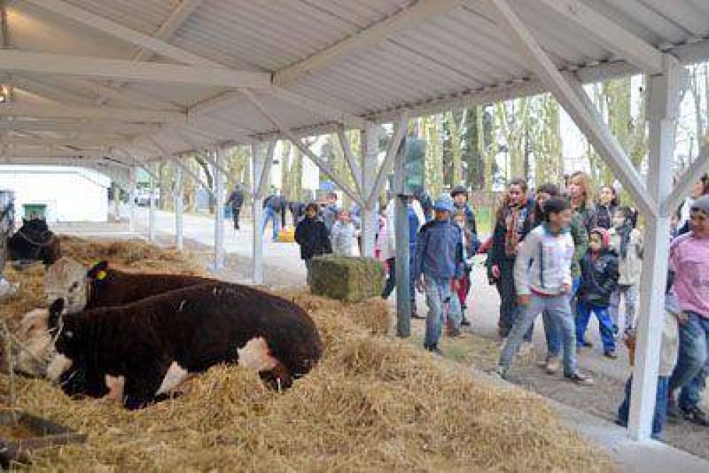 Exposici�n Rural de Pergamino: una muestra y mucho para disfrutar