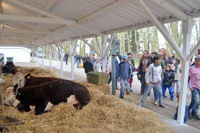Exposici�n Rural de Pergamino: una muestra y mucho para disfrutar