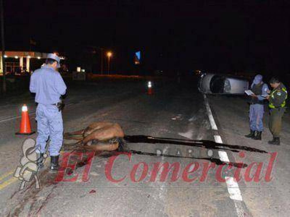 Clorinda: auto volc� tras chocar a un caballo