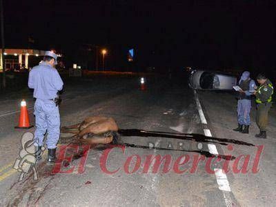 Clorinda: auto volc� tras chocar a un caballo