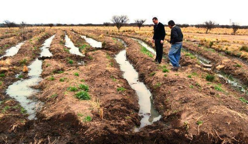 Larra�aga recorri� el vivero municipal