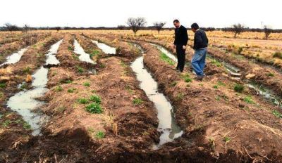 Larra�aga recorri� el vivero municipal