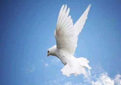 La di�cesis marplatense vivir� este s�bado una intensa jornada por la paz 