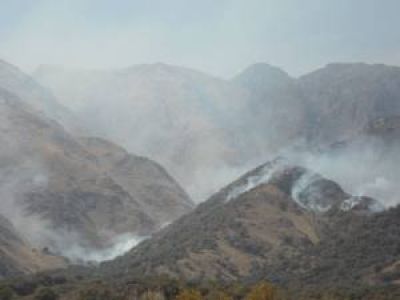 Ofrecen $50 mil para dar con los autores del incendio en el Valle