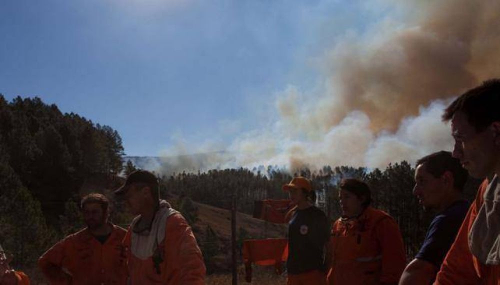Intentaban frenar un incendio de pinares en Calamuchita