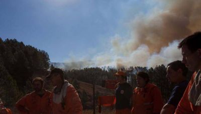 Intentaban frenar un incendio de pinares en Calamuchita