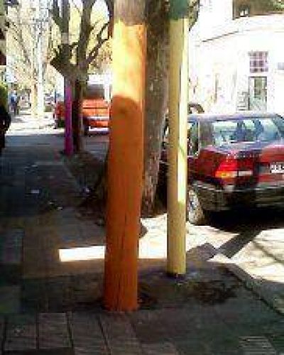 �Una ciudad embellecida o desperdicio de pintura?