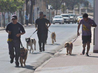 Se desarroll� el primer "Perrot�n"