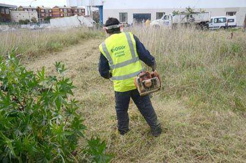 En los �ltimos 5 meses, limpiaron 232 terrenos bald�os