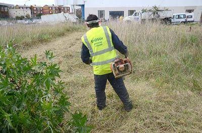 En los �ltimos 5 meses, limpiaron 232 terrenos bald�os