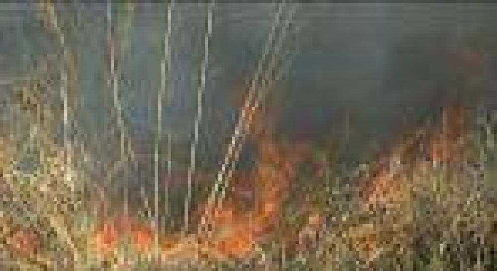 El incendio en Higuerillas est� controlado aunque se sigue trabajando en el lugar