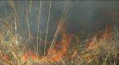 El incendio en Higuerillas est� controlado aunque se sigue trabajando en el lugar