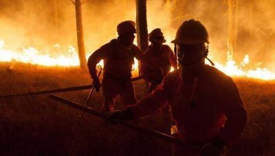 Se quemaron siete mil hect�reas y el fuego contin�a activo