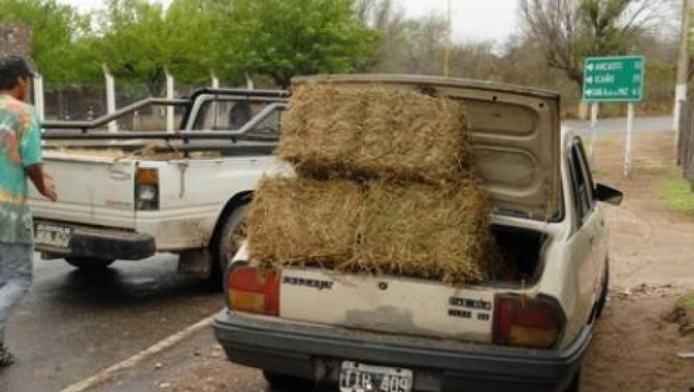 Hace un a�o que no llueve en la zona productiva del este