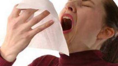 Los casos de alergia est�n alcanzando su pico m�ximo