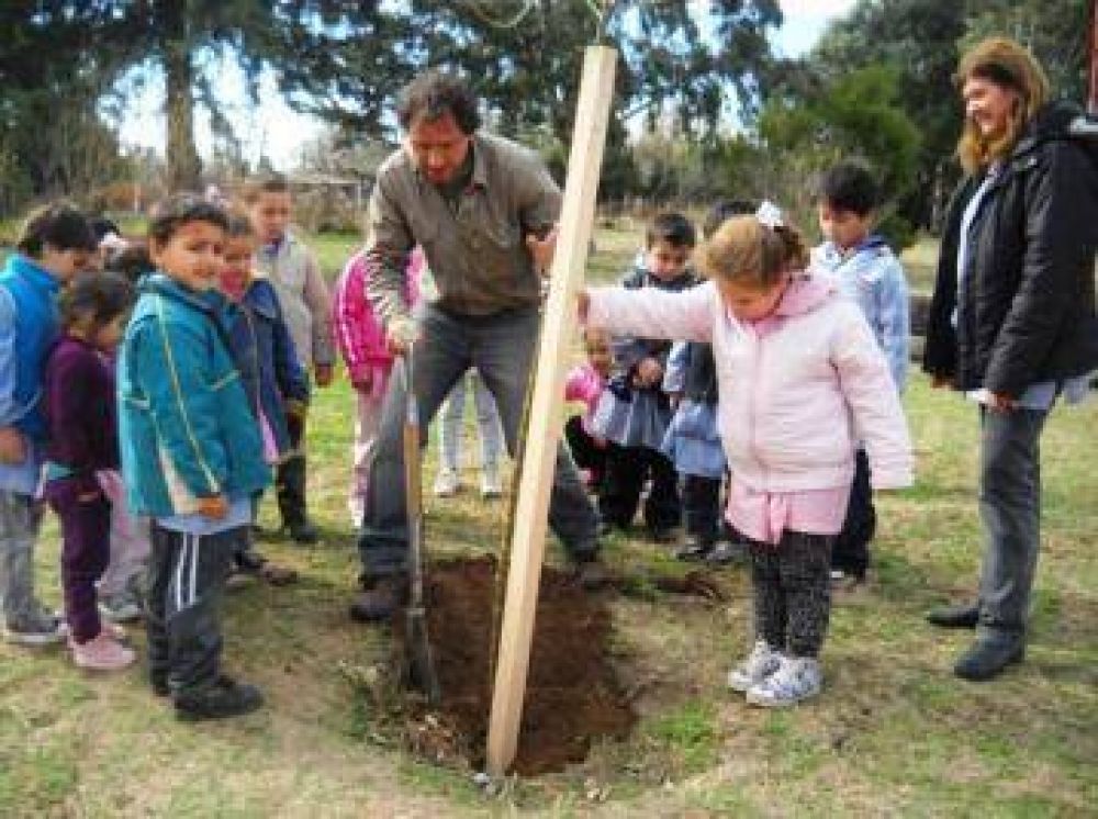 Forestaron con 30 especies una plaza de Cascallares