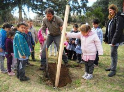 Forestaron con 30 especies una plaza de Cascallares