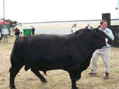 Los precios m�ximos pagados en la Expo