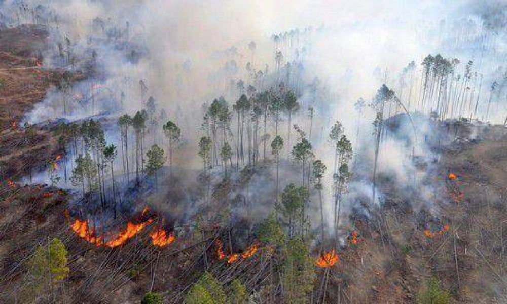 Arden las sierras y decretan emergencia ambiental en Capital