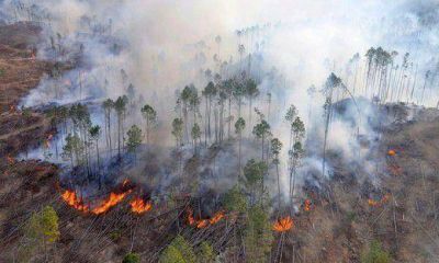 Arden las sierras y decretan emergencia ambiental en Capital