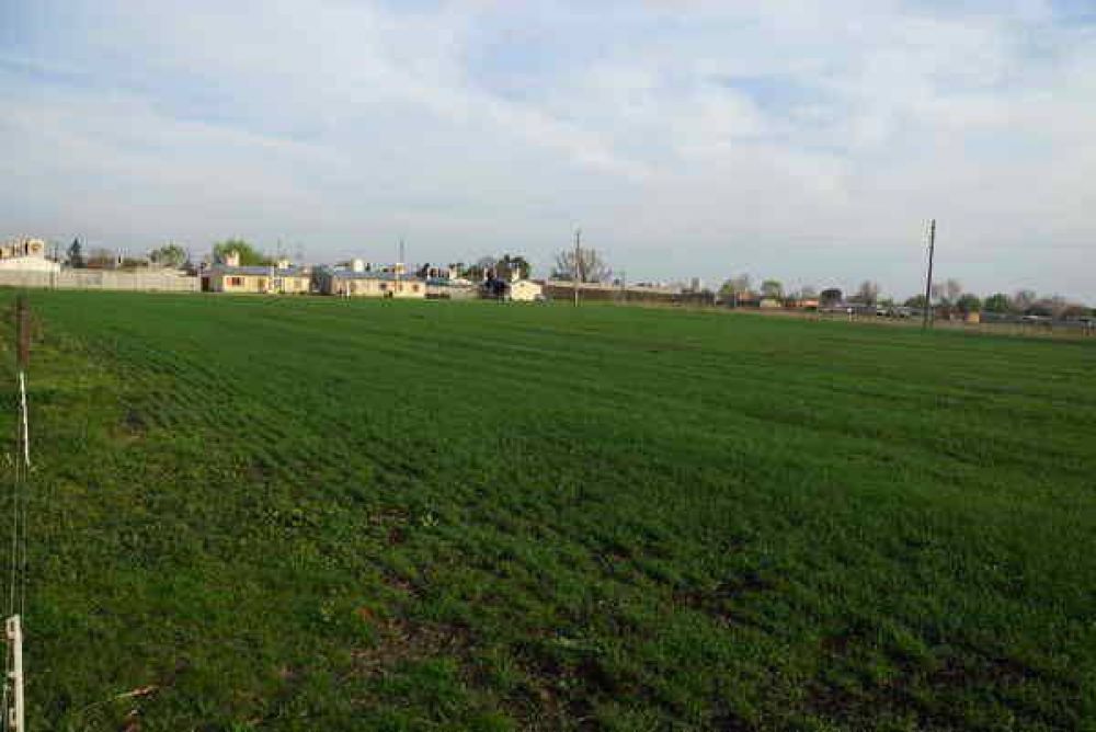 EL MUNICIPIO ANUNCI� QUE SE LLAM� A LICITACI�N PARA LA CONSTRUCCI�N DE 32 VIVIENDAS SOCIALES