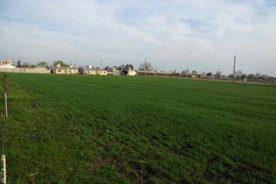 EL MUNICIPIO ANUNCI� QUE SE LLAM� A LICITACI�N PARA LA CONSTRUCCI�N DE 32 VIVIENDAS SOCIALES