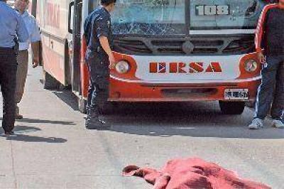 Padre de tres nenas se suicid� arroj�ndose al paso de un colectivo