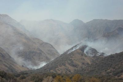 Juvennat afirma que el tr�gico incendio de Comechingones se pudo haber evitado