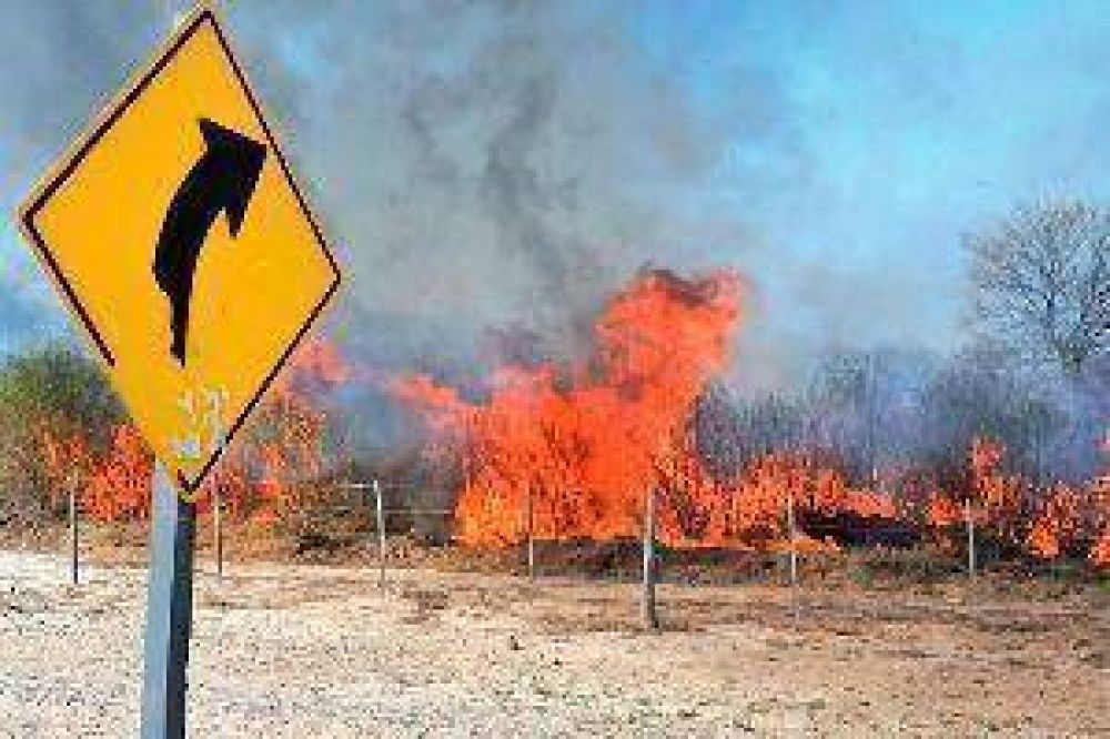 Los incendios forestales afectan el servicio el�ctrico de la regi�n