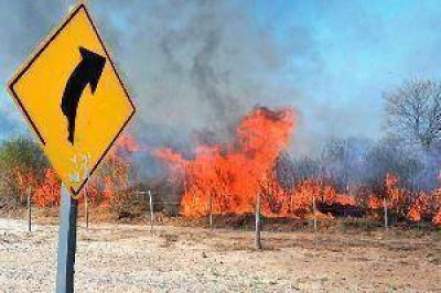 Los incendios forestales afectan el servicio el�ctrico de la regi�n