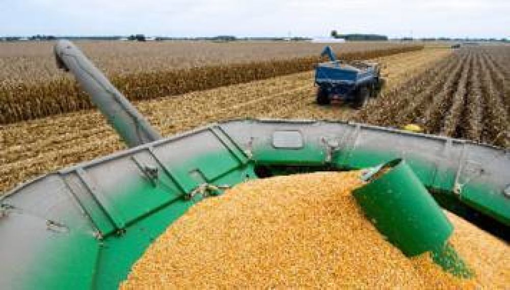 Ma�z: el Gobierno autorizar�a la exportaci�n de 3 millones de toneladas