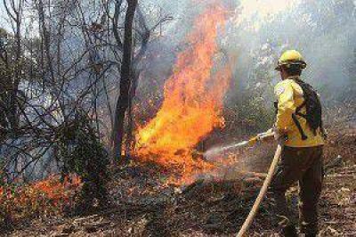El fuego tambi�n arrasa Jujuy