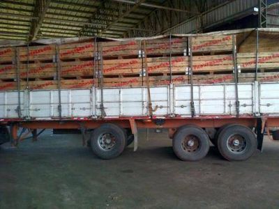 El Senasa destruy� 50.000 kilogramos de frutas c�tricas misioneras decomisadas en controles en ruta en Corrientes